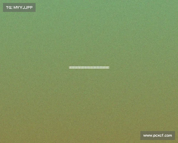 网球赛场的魅力与激情：探秘高水平比赛中的氛围与观众体验